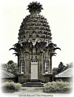 Pinapple House