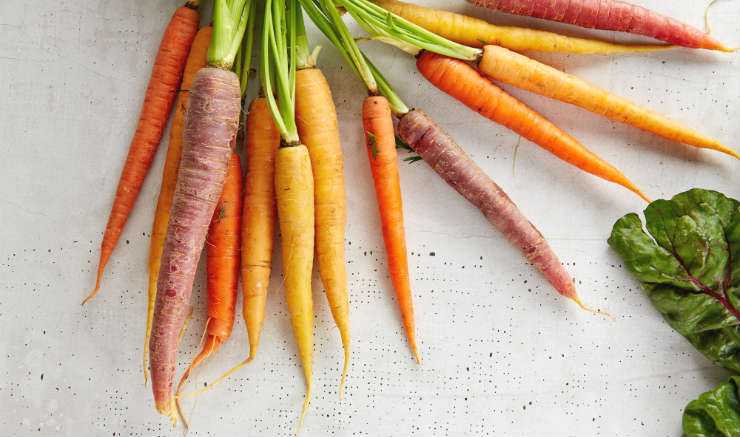 How Long Do Carrots Last? The How to Store Carrots Guide