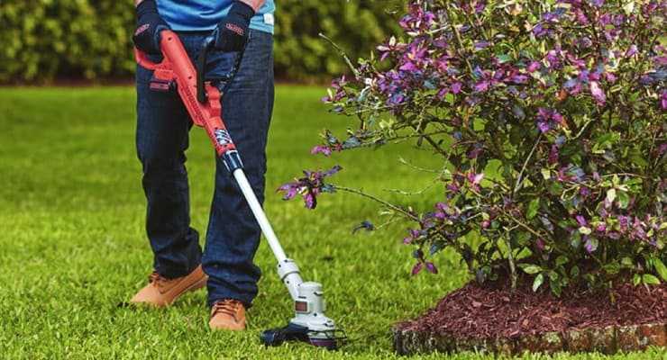 Best Lightweight Weed Eater Reviews for 2022