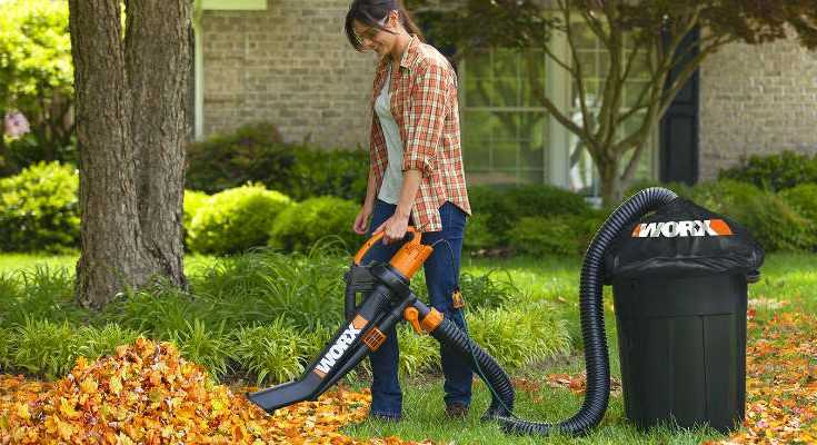 Best Leaf Vacuum Reviews for 2022: The Top 8