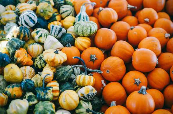 pumpkin_variety