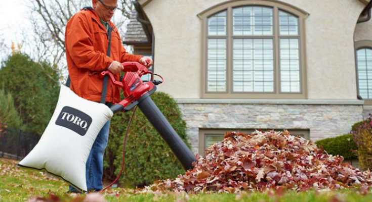 Toro 51621 Electric Leaf Blower Vac and Mulcher Review