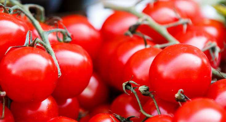 Tomato Plant Spacing: How Far Apart to Plant Tomatoes?