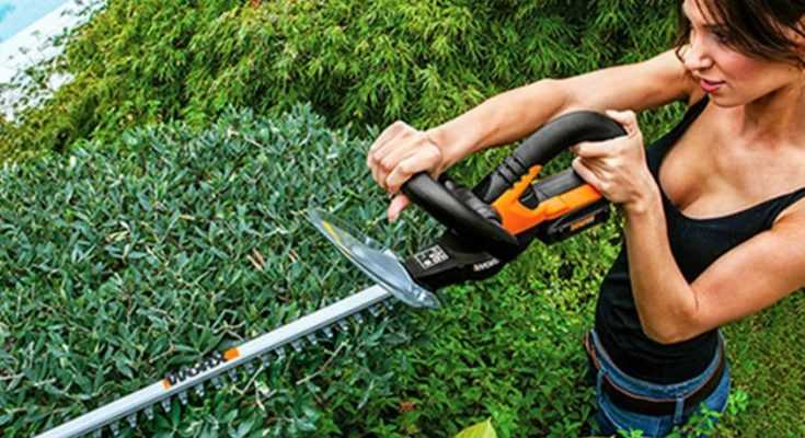 Best Hedge Trimmer Reviews for 2022 - Featured