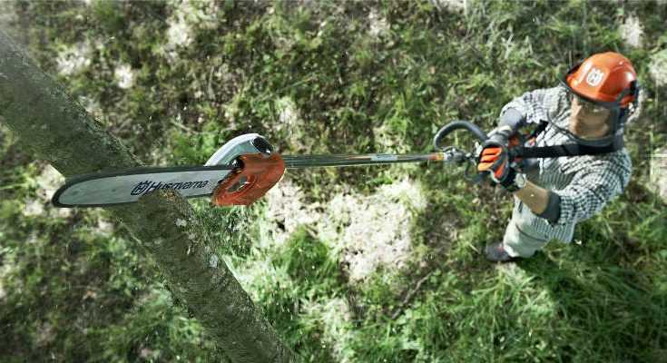 Best Electric Pole Saws 2022 - Reviews & Buyers Guide - Gardenlife Pro