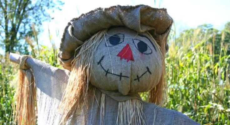 How to DIY Scarecrow